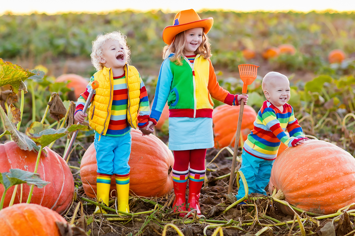 adoption questions for adoptive parents
